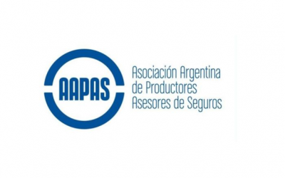 Primera reunión 2021 de la Comisión de Sociedades de AAPAS