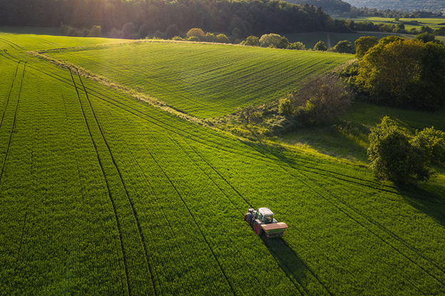 Alerta por la degradación del suelo: las claves para una agricultura sustentable