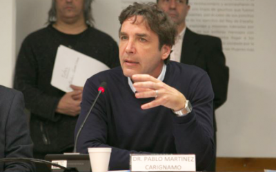 Martínez Carignano en Diputados: “Tenemos la posibilidad histórica de salvar las vidas de miles de jóvenes”