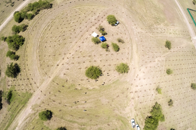 RUS junto a BAUM contribuyeron a la reforestación de algarrobos en Río Ceballos