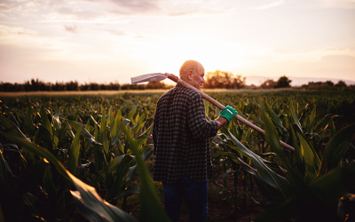 Sancor Seguros lanza su campaña de seguros agropecuarios 2024/2025