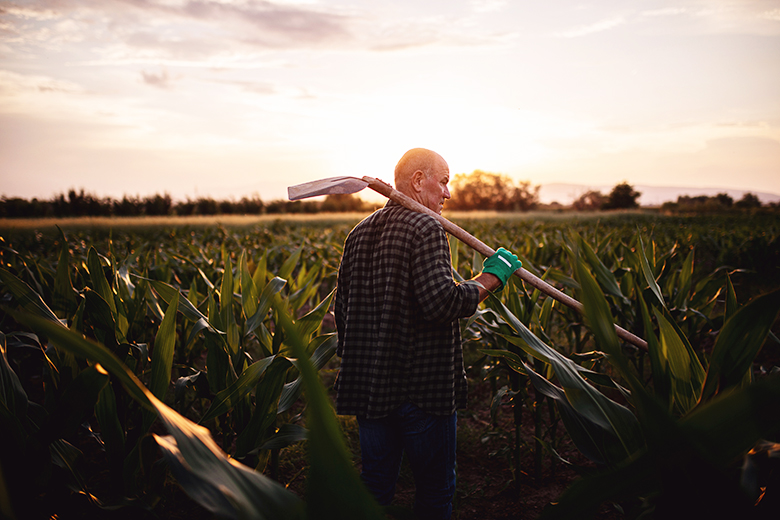 Sancor Seguros lanza su campaña de seguros agropecuarios 2024/2025