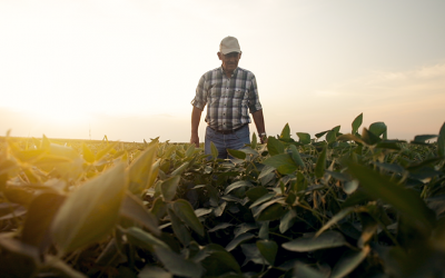 Campaña gruesa: con el cambio climático el productor busca protegerse en una compañía 100% confiable