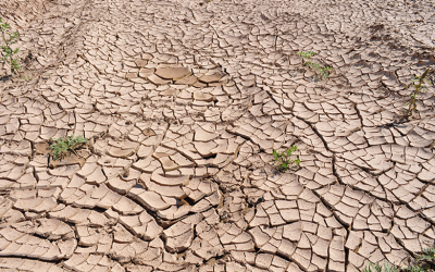 Marsh McLennan insta al sector asegurador a abordar los desafíos climáticos, a pesar de la incertidumbre económica global