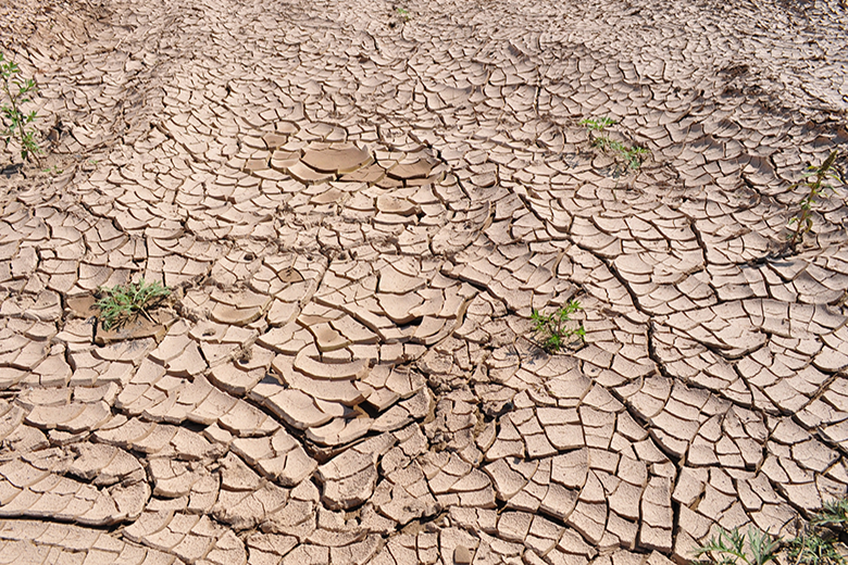 Marsh McLennan insta al sector asegurador a abordar los desafíos climáticos, a pesar de la incertidumbre económica global