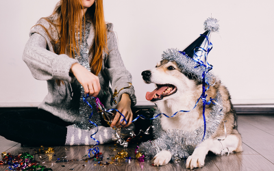 Mascotas y fiestas de fin de año: cómo preservar la salud de los animales, durante los festejos